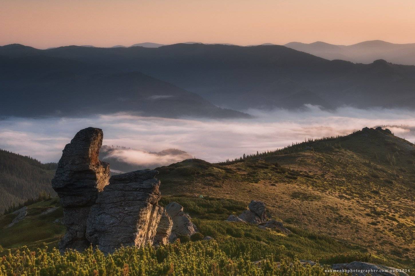 украина, карпаты, дземброня, ушастый камень, вухатый камень, лошадь, лето, туман, лес, пейзаж, небо, утро, горы, природа, рассвет, путешествия, туризм, солнце, сцена, фон, страна, красота, туманный, цвет, земля, свет, гора, дерево, Александр Науменко