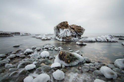 Южная пальмира
