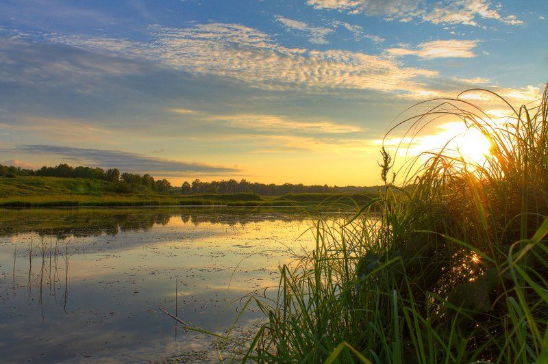 вечер, закат, лето, небо, облака, пейзаж, природа, река, солнце, трава Июльский закат фото превью