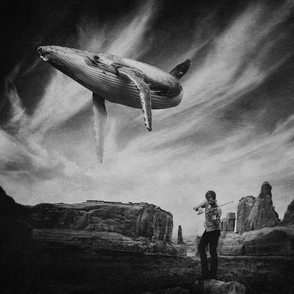 , Рублёв Дмитрий