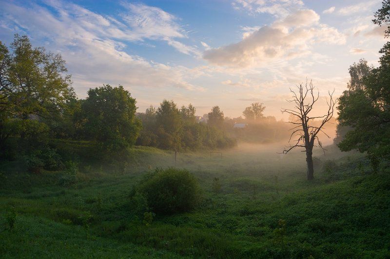 Весна вернулась не для всех... фото превью