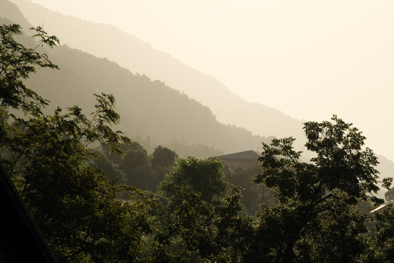 Утро фото превью