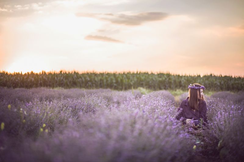 purple фото превью