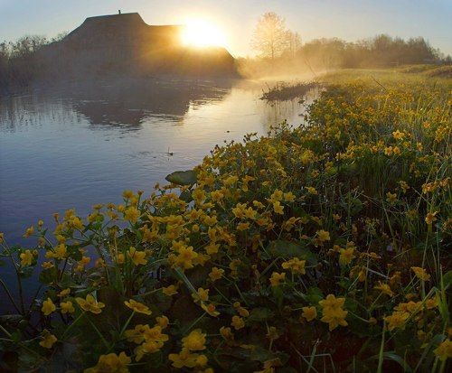 Утро в деревне Пономарево