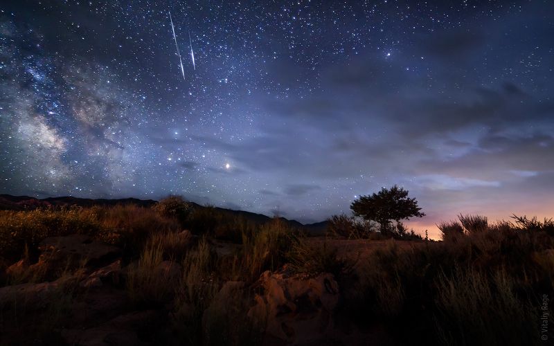 киргизия, иссык-куль, ночь, сова, млечный путь Про сову и метеориты фото превью