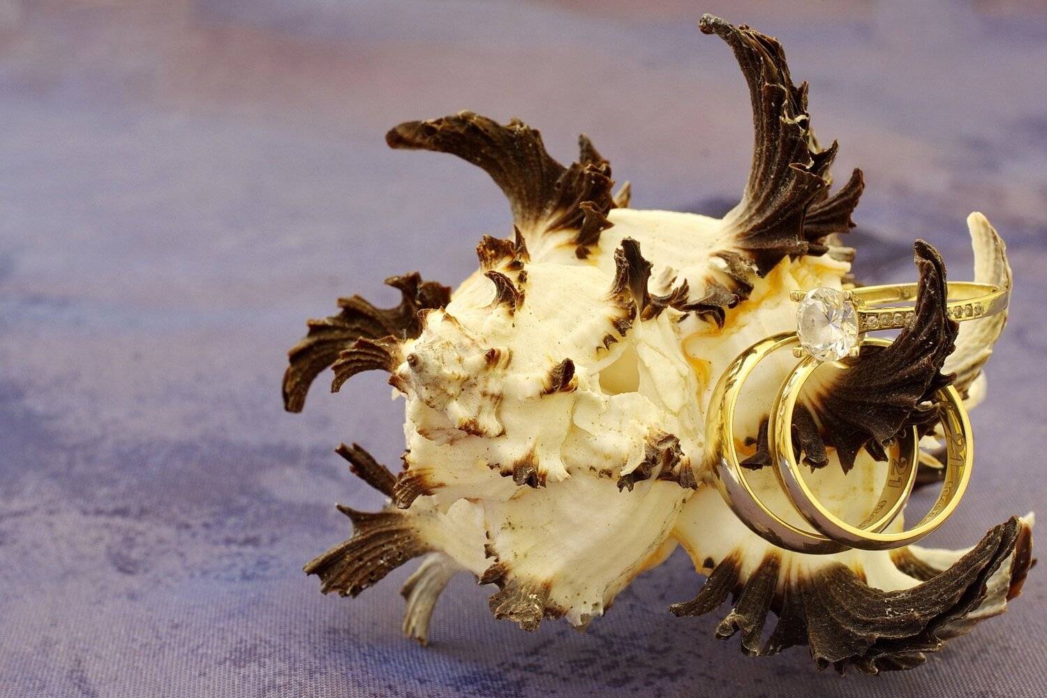 , Sorin Lazar Photography