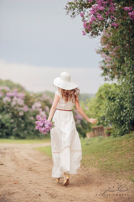 сирень фото превью