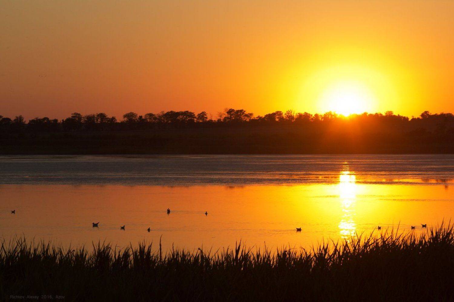 Лиман, озеро, водоем, закат, вечер, птицы, утки, чайки, контуры, , Рычков Алексей