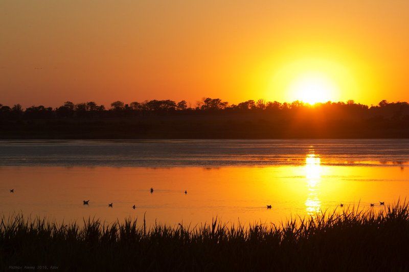 Лиман, озеро, водоем, закат, вечер, птицы, утки, чайки, контуры,  Заповедный закат фото превью