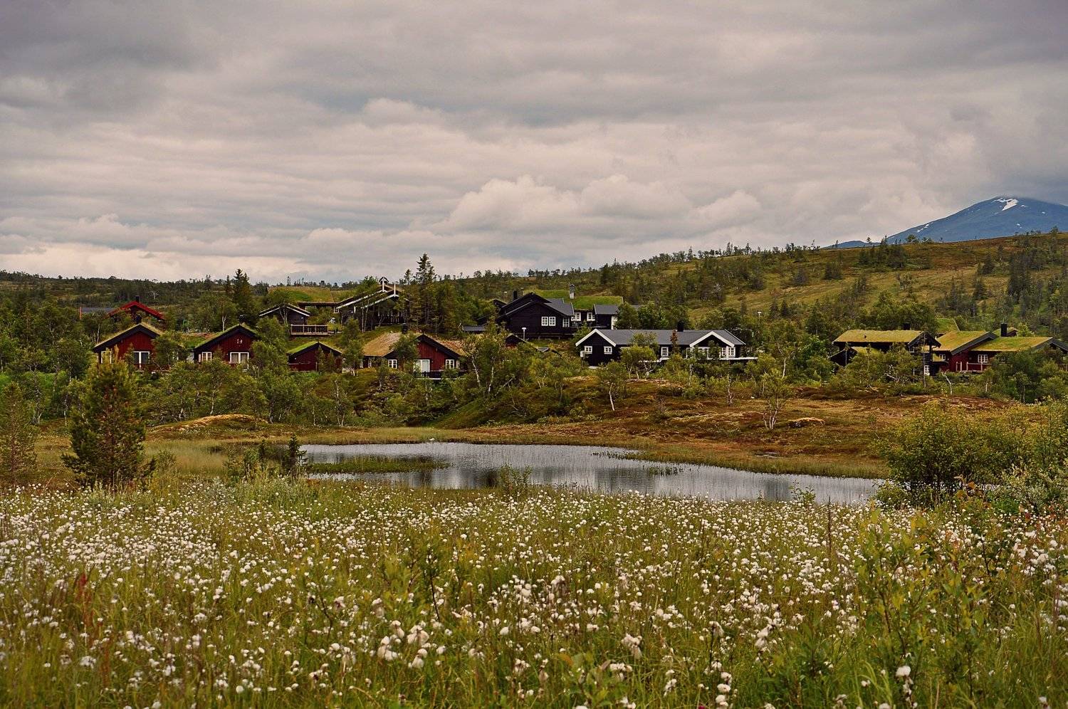 , Лариса Запатрина