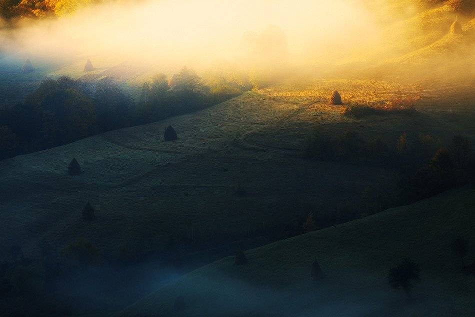 ***. Автор: Stefan Chirobocea , Stefan Chirobocea