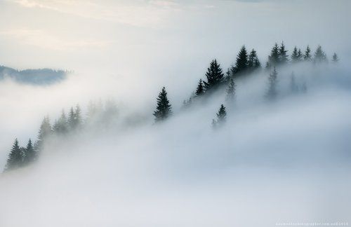 Украина. Карпаты. Дземброня. Горы дымят