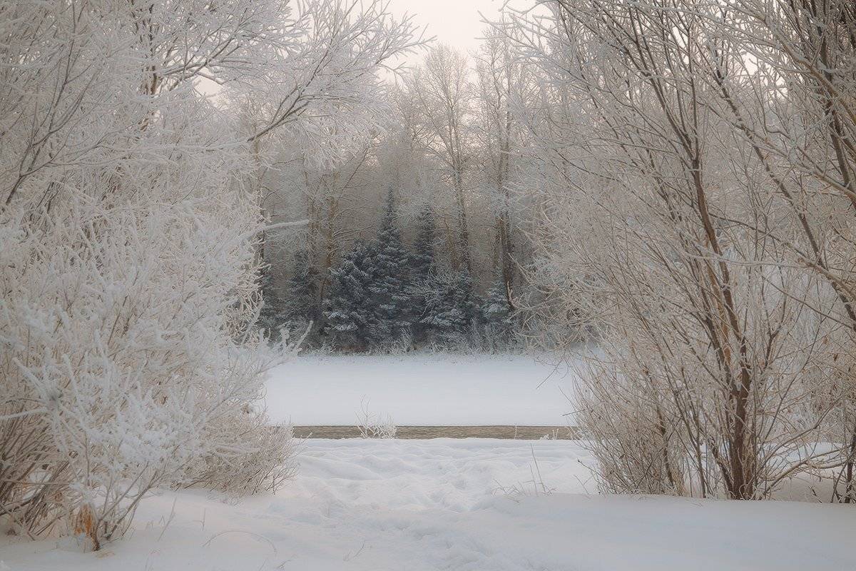 , Николай Морский