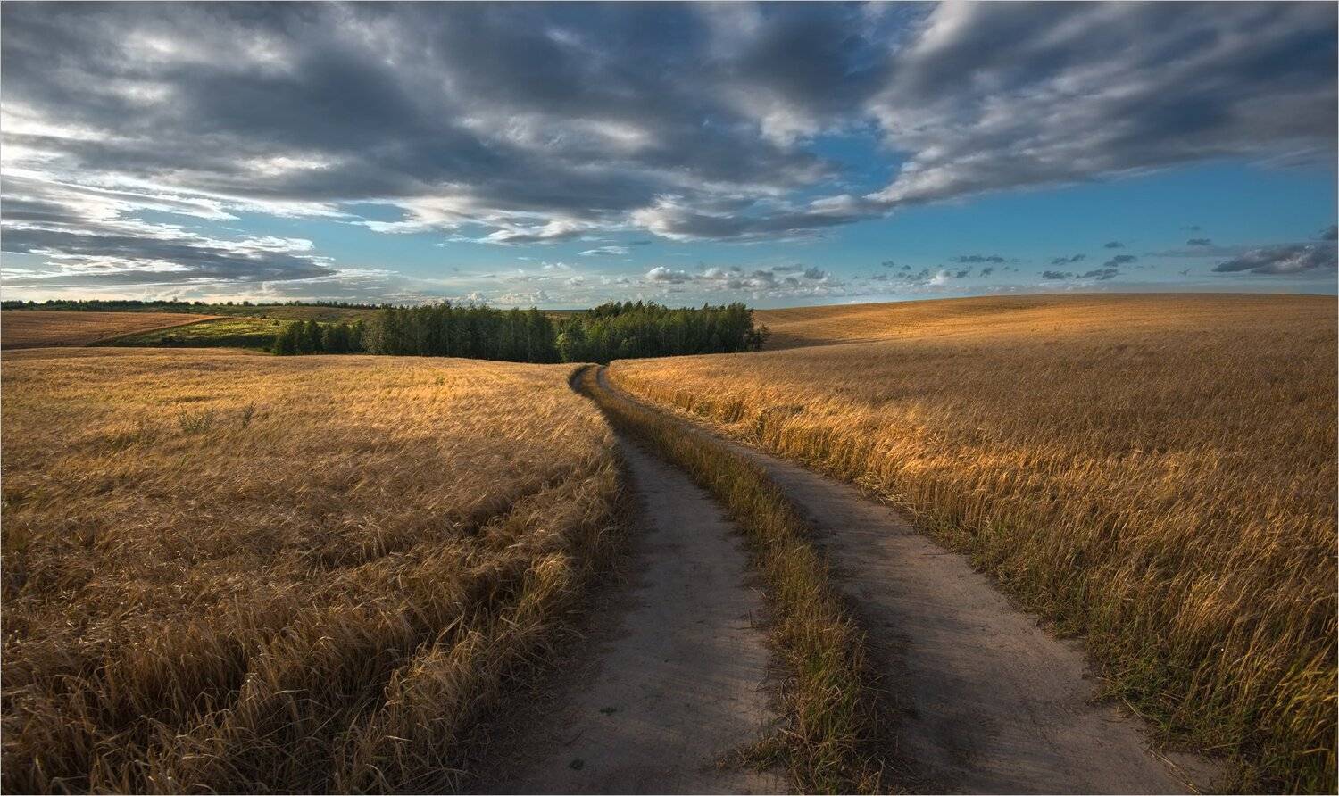 , Николай Шахманцир