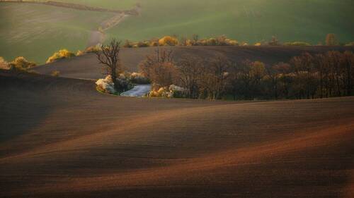 Spring field
