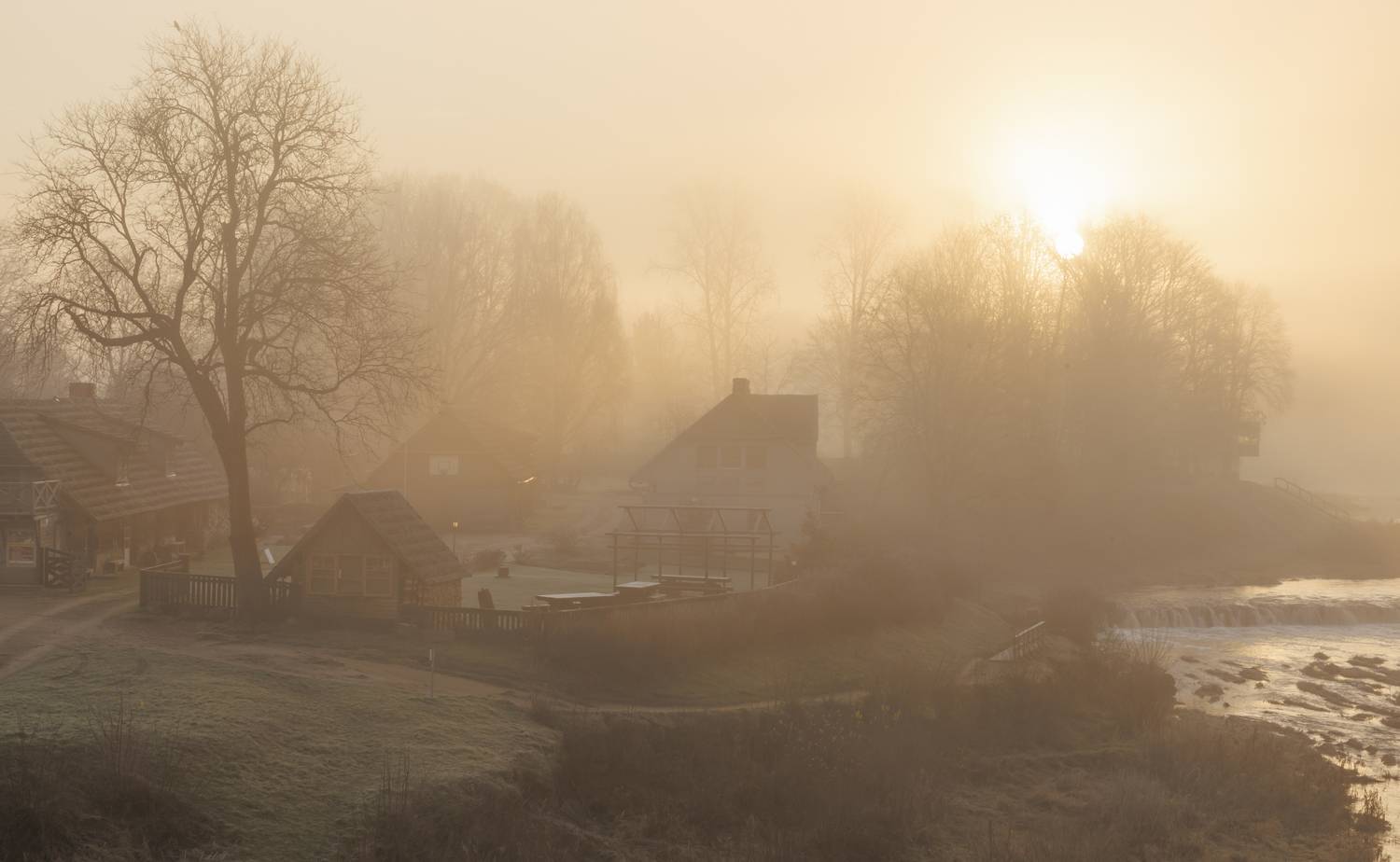 saule, migla, Cielava Dace