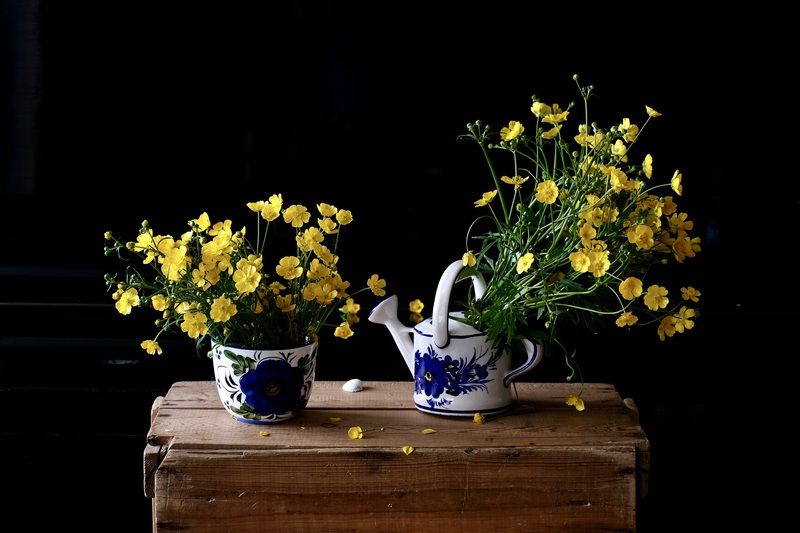 Still life, Flowers, Buttercup, Summer, Colors, Yellow Лютики фото превью