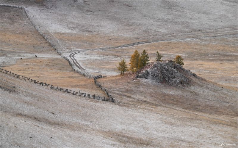 алтай, горный алтай, усть-кан, усть-канская степь, фототур на алтай, фотопутешествия по россии, фототуры 2026, фототур по горному алтаю, осенний фототур на алтай, пастораль Осенняя меланхолия фото превью