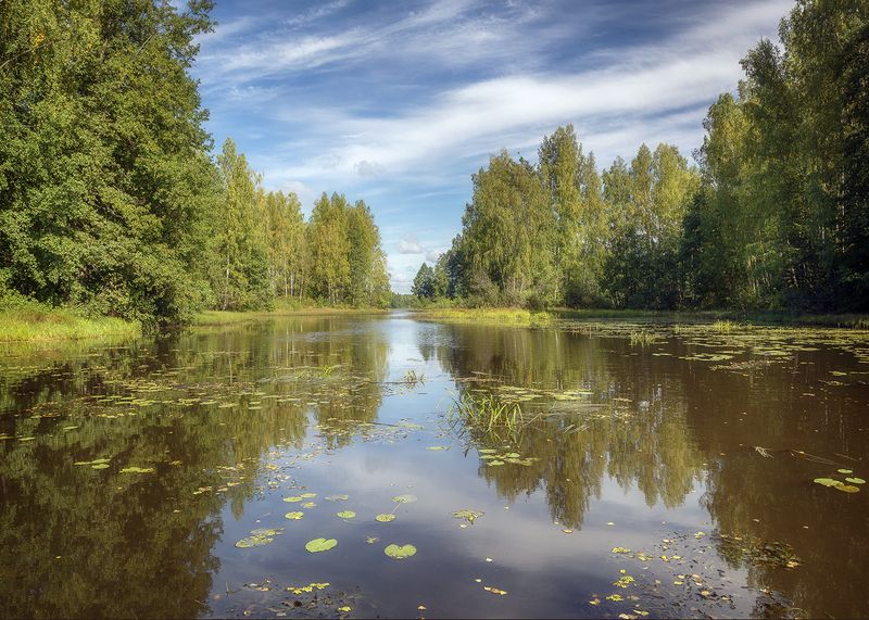 **** фото превью