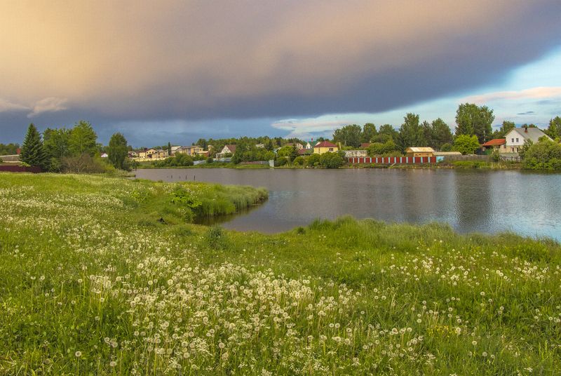 киров, дороничи, пруд, одуванчики На пруду фото превью