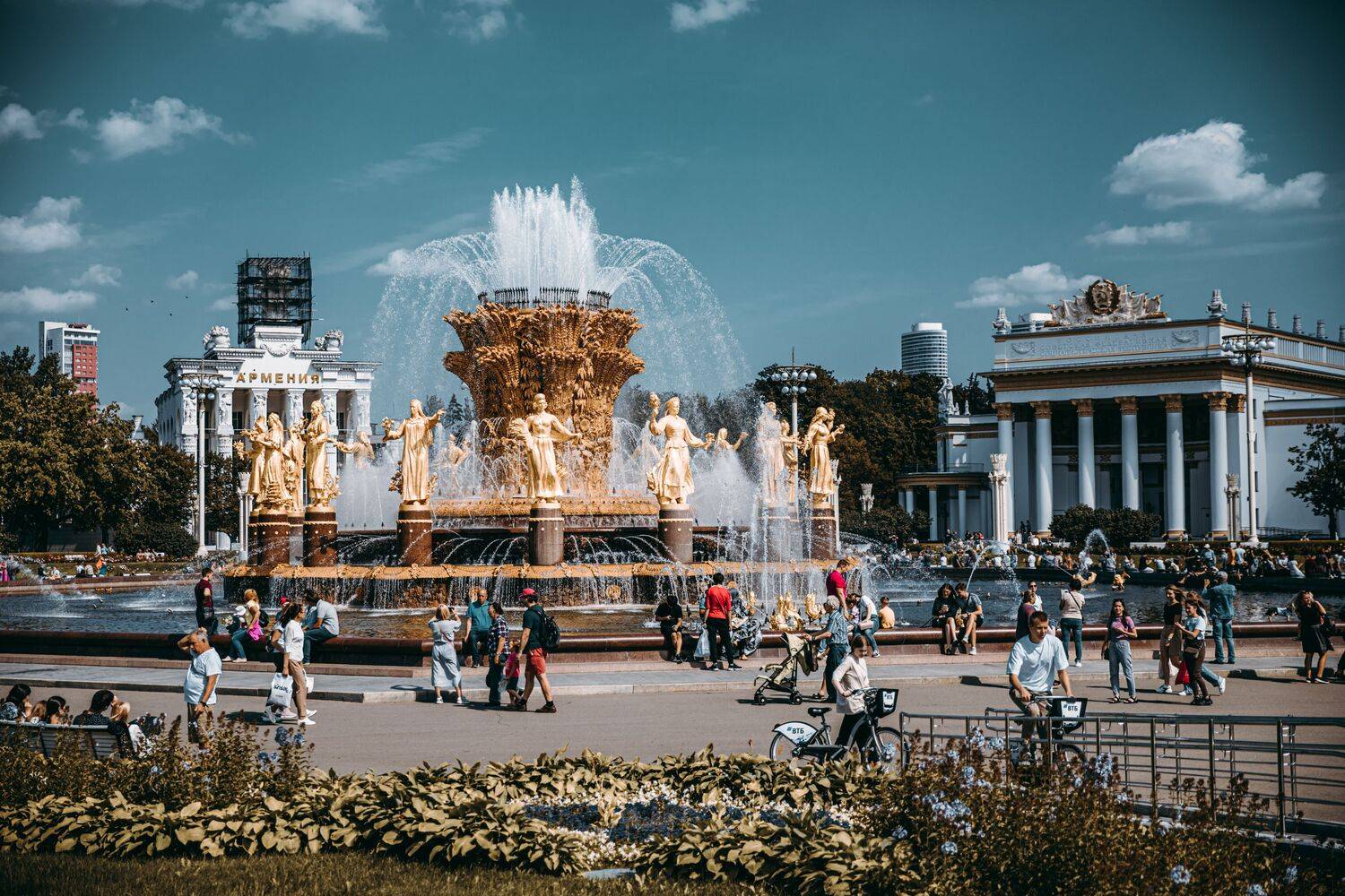, Трепольский Дмитрий