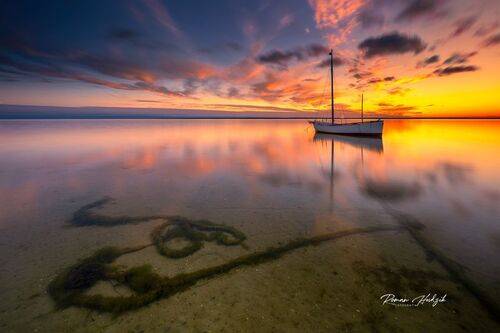 Boat.