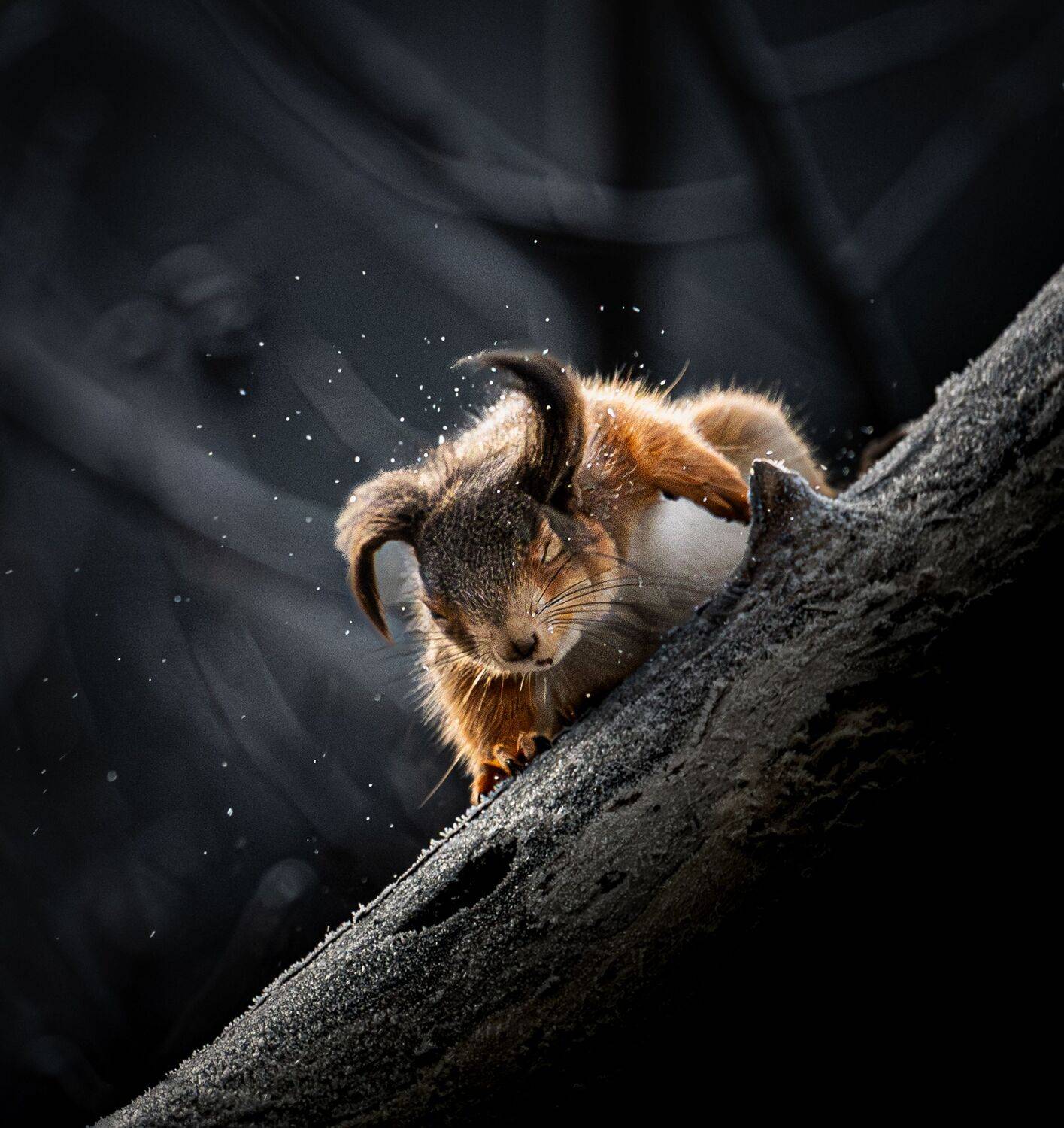 , Andreas Lundmark