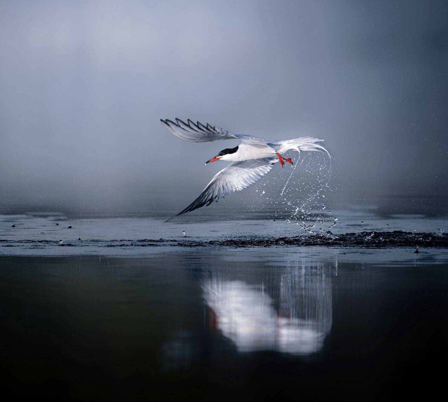 , Andreas Lundmark
