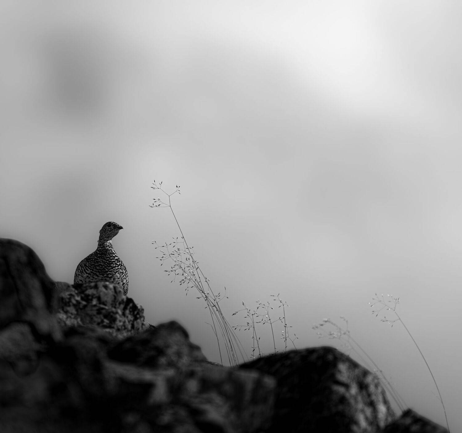 , Andreas Lundmark
