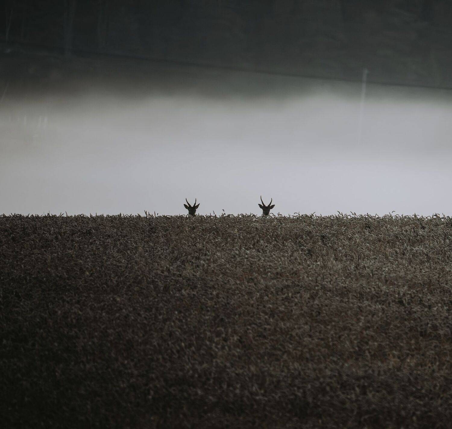 , Andreas Lundmark