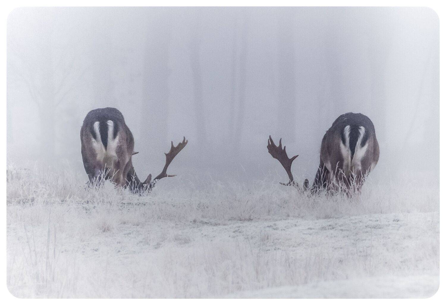 , Andreas Lundmark