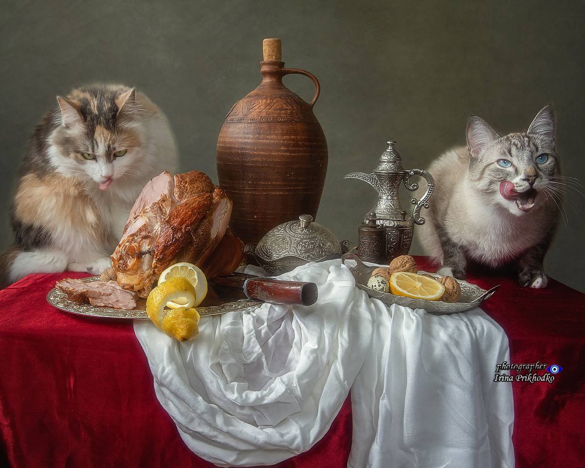 натюрморт, барокко, домашние животные, кошки, еда, окорок, Приходько Ирина