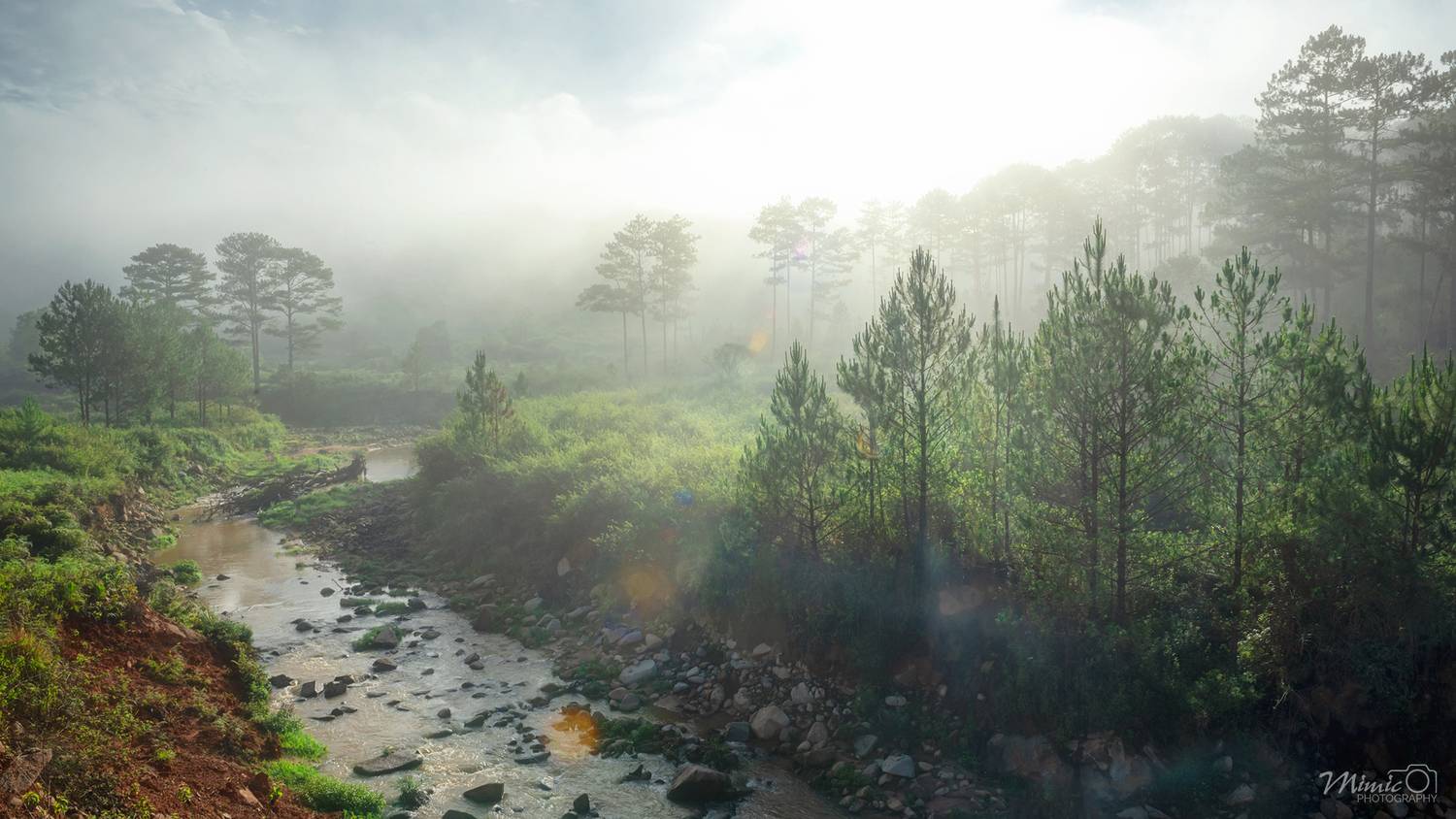 nikon d750, 24-70mm f/2.8g, L&ecirc; Minh Hiếu