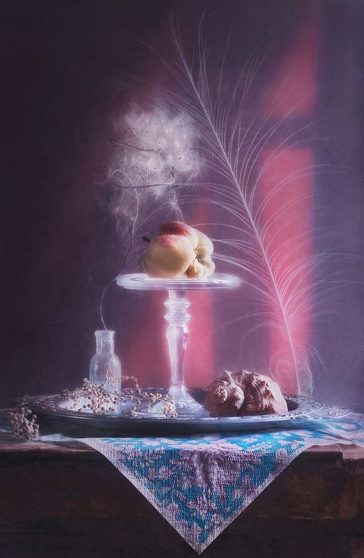 натюрморт, идея, настроение, still life, concept, idea, перо, яблоко, ракушка, плод, soft light Баловень в цвете  фото превью