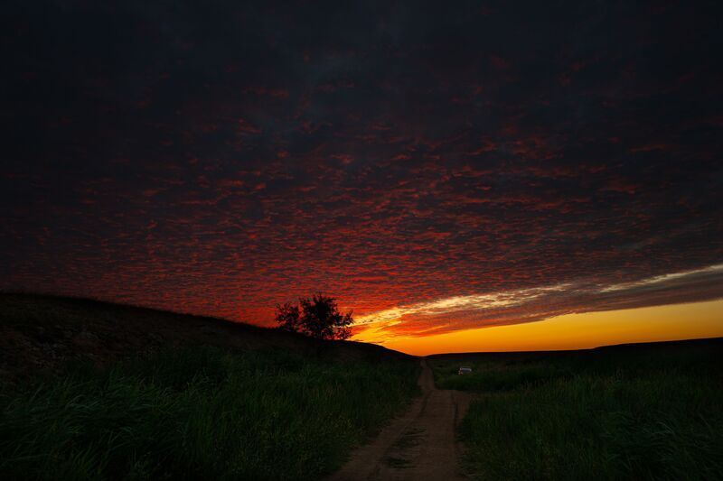 A rich dawn фото превью