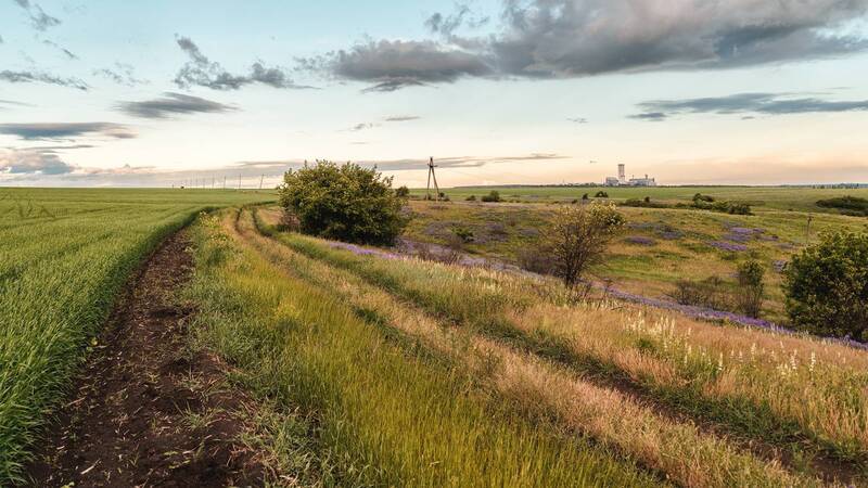 Вечер в степи фото превью