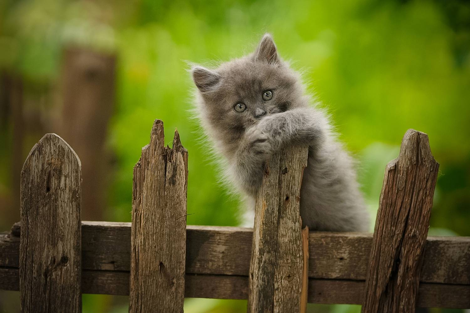 , Коротун Юрий