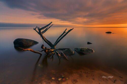 Tales of the Sea
