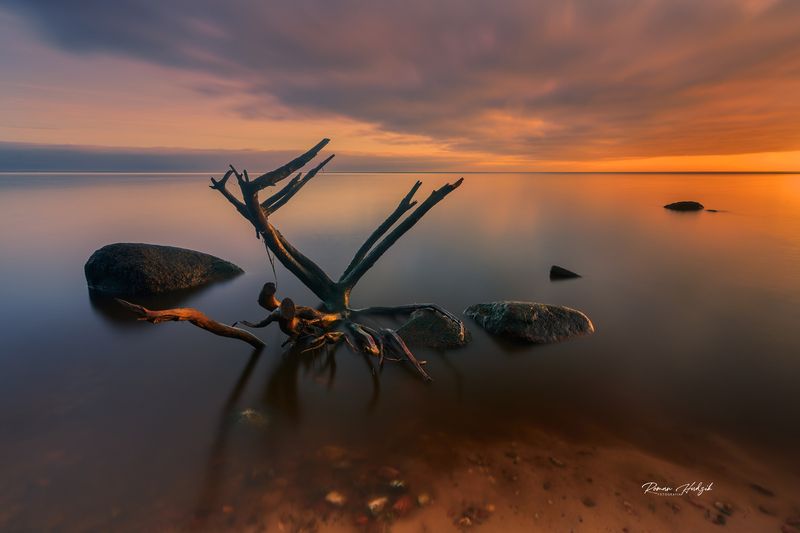 Sunrise, Stones, Sea, baltic Sea, Nikon, Nikon D 850, Branch Tales of the Sea фото превью
