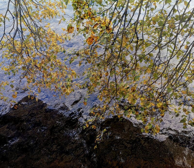 .  фото превью