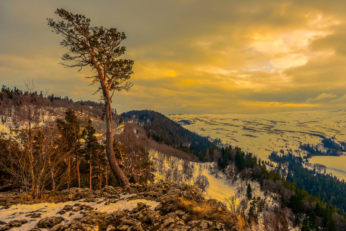, Anatoly