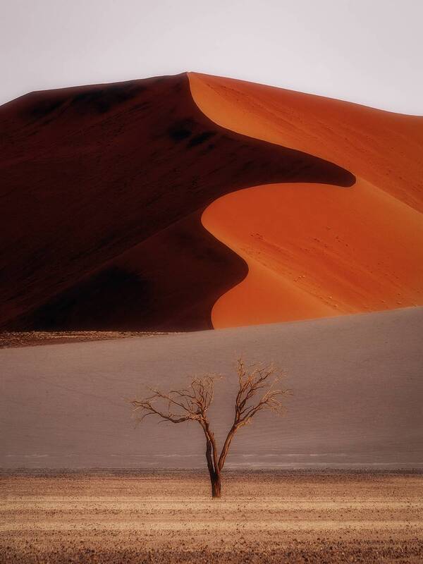sossusvlei, соссусвлей, namibia, африка, deadvlei, africa, дюны, namib, пустыня Долина Sossusvlei фото превью