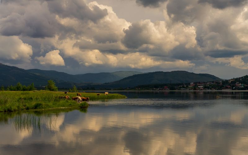 фото превью