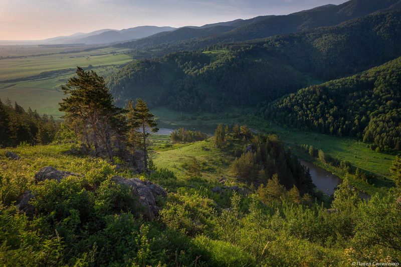 пейзаж, алтай, горы, лето, утро, лес, холмы Алтайское утро фото превью