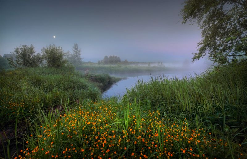 рассвет, туман, Луна, фото России, природа России, Нижегородская область, пейзажи России На убывающей луне фото превью