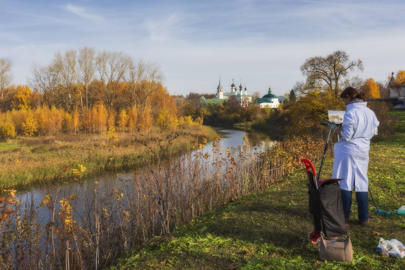 суздаль, художник, Анатолий Фомин
