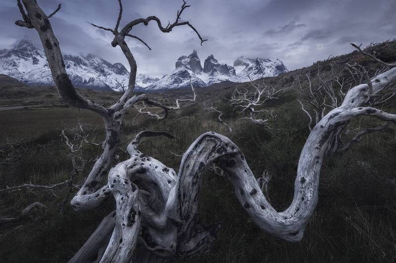 Torres del Paine, Chile фото превью