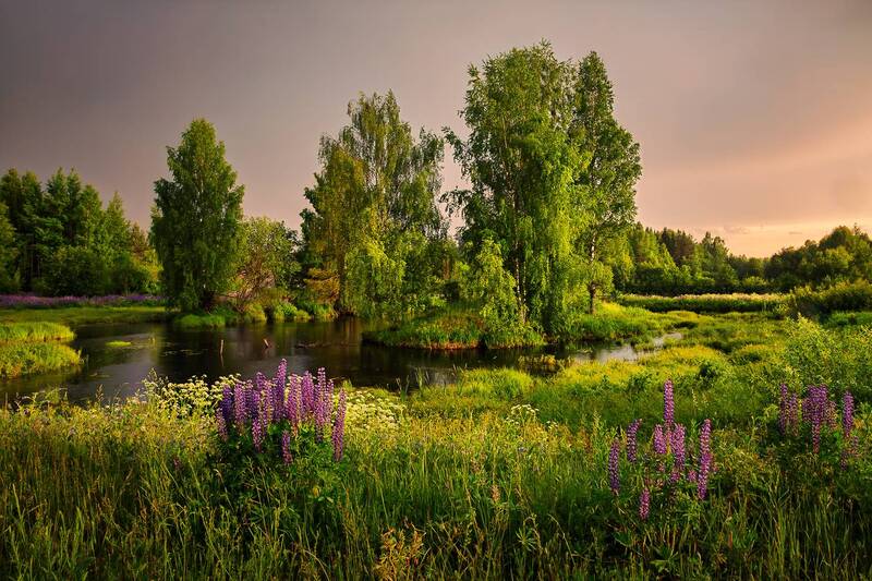 * фото превью
