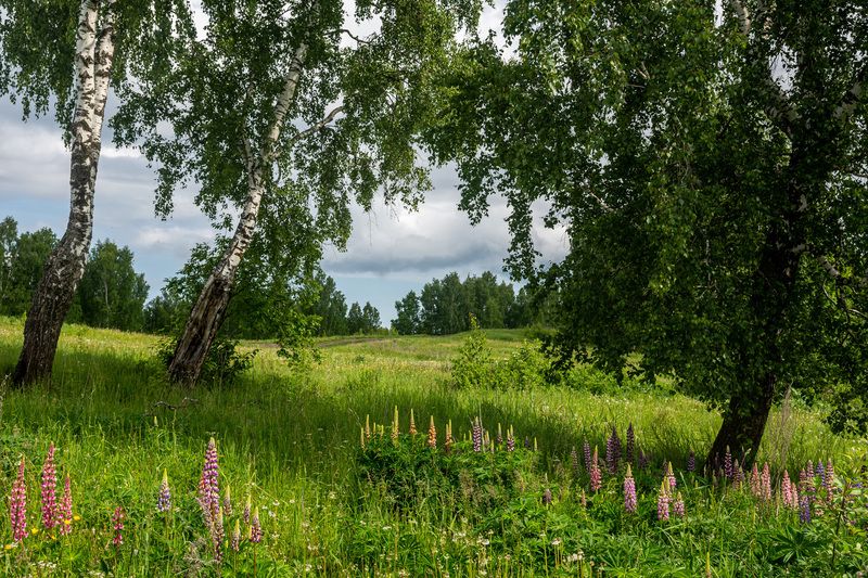 фото превью