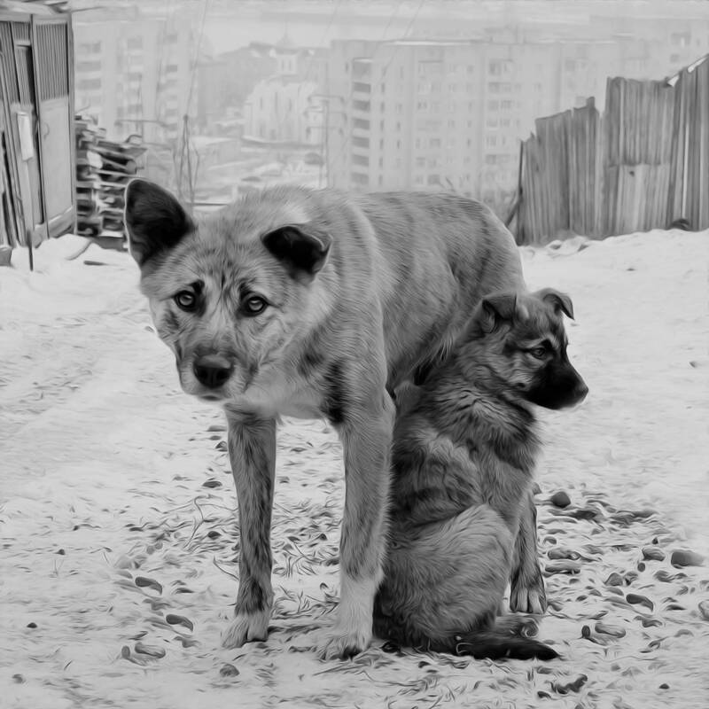 Безнадёга... фото превью